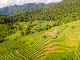 Fototapeta na wymiar Curved Terraced Rice Field in Chiangmai, Thailand, Pa Pong Piang rice terraces, green rice paddy fields during rain season