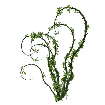 A 3d rendered illustration of a cluster of green vines with thorns and green leaves 