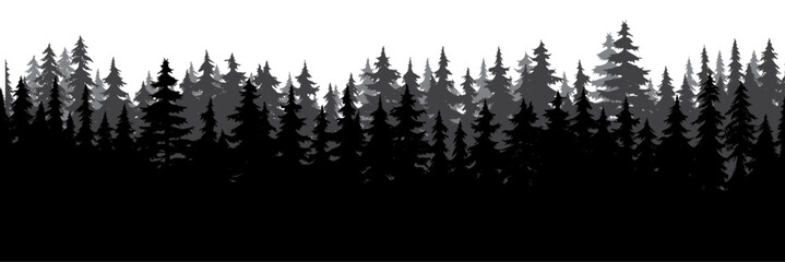 silhouette of tree forest background - obrazy, fototapety, plakaty