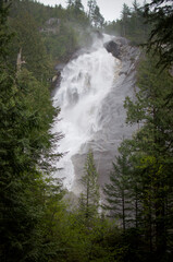 waterfall surrounded by forest