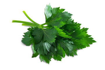 a bunch of lettuce parsley, isolate for clipping on a white background