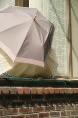 white and yellow umbrella © 영호 김