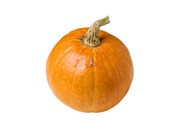 wonderful dwarf decorative pumpkin for interior decorationon a white background