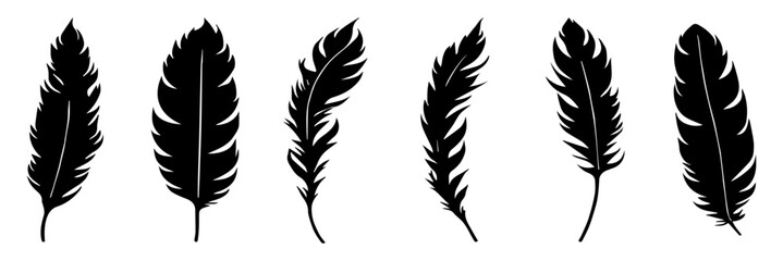 set of silhouette feathers. black feather isolated on white