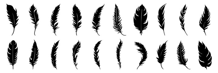 set of silhouette feathers. black feather isolated on white - obrazy, fototapety, plakaty