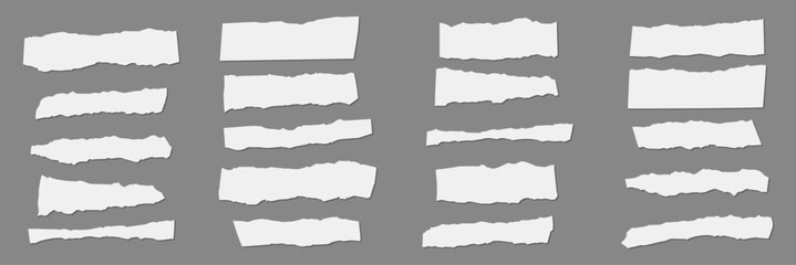 collection of various ripped pieces of paper. vector