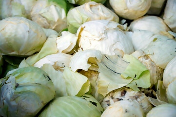 cabbage