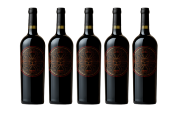 wine bottle and glass