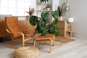 Interior of room in eco style with green houseplants