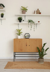 Stylish wooden cabinet with houseplants near white wall