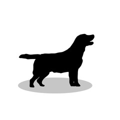 Dog vector png