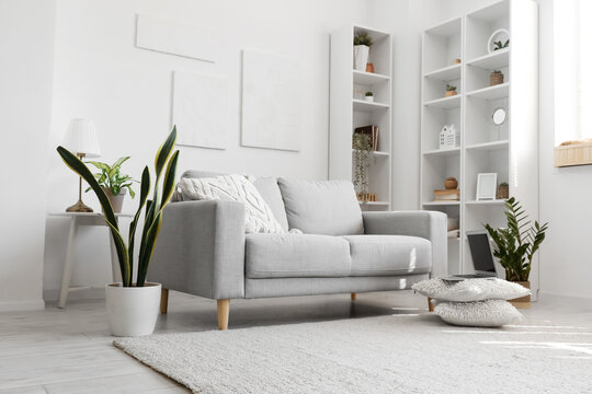 Interior of light living room with grey sofa, houseplants and shelving unit