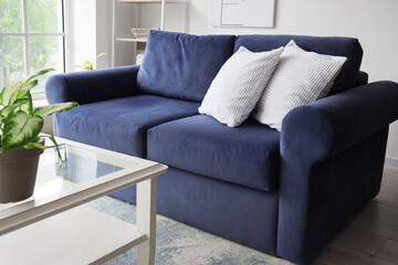 Interior of stylish living room with cozy blue sofa and houseplant on table