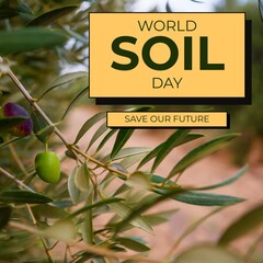 Composite of world soil day and save our future text over plants growing in farm