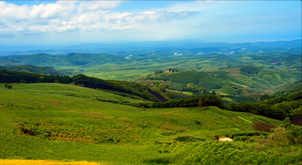 landscape in the summer