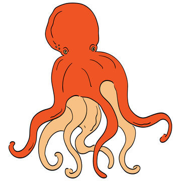 Octopus cartoon illustration
