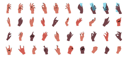 A large set of hands of different races. Vector illustration of hands on white background.