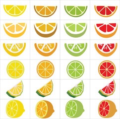 lemon slices in various colors in vector and white background