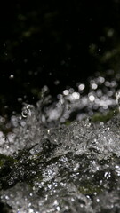 water drops on the water