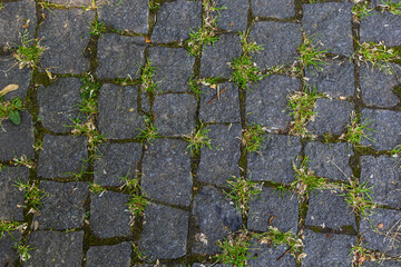 Cobblestone on the road with green grass. Background image on the theme of urban planning, vintage, travel