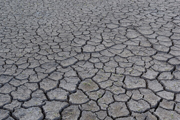 The ground has cracks in the top view for the background or graphic design with the concept of drought and death