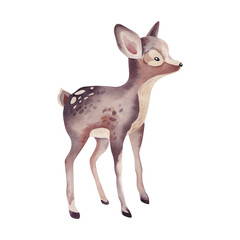 The fawn is curious. Watercolor illustration. Forest animals for children. Cute baby.