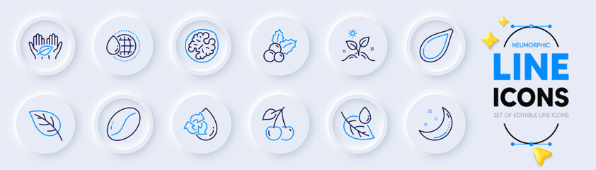 Moon stars, Pumpkin seed and Coffee beans line icons for web app. Pack of Christmas holly, Leaf dew, Cherry pictogram icons. Leaf, Walnut, Grow plant signs. World water, Recycle water. Vector