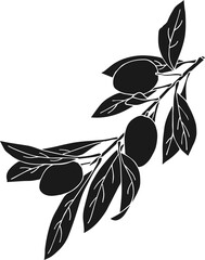 Black icons olive branches, PNG.