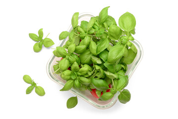 Glass bowl with fresh green basil and tomatoes on white background