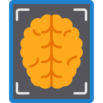 X Rays Icon