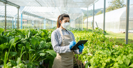  Asian couple of farmers inspects plants with a digital tablet In a greenhouse plantation. Smart farming .