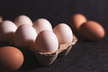 Still life image of eggs in cardboard egg cartons