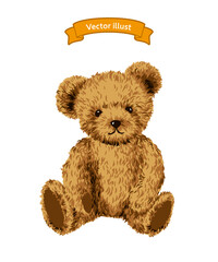 手描きのくまのぬいぐるみ　ふわふわのテディベアのイラスト ベクター 
