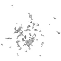 Silver Foil flakes isolated on transparent background