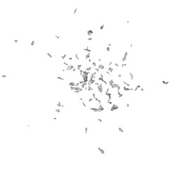 Silver Foil flakes isolated on transparent background