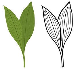Fototapeta na wymiar Wild Garlic SVG - Colors & Line Art
