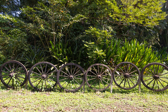 Wagon Wheel Fence around tree