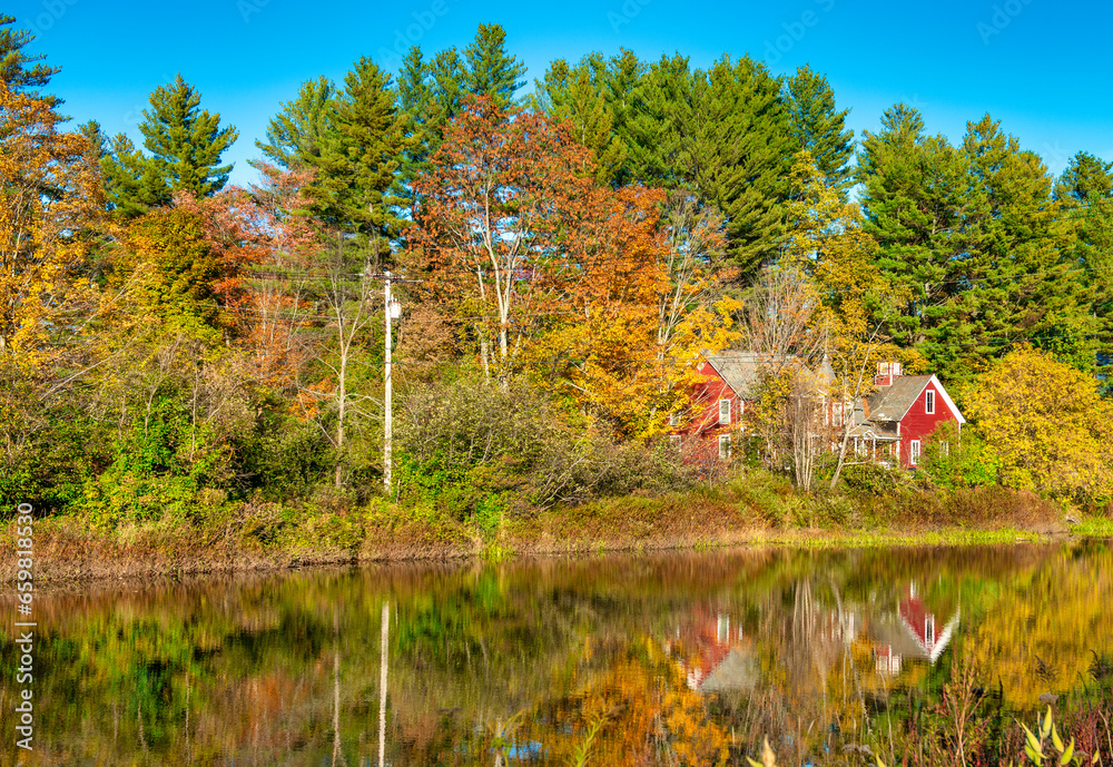 Wall mural A lake in the forest, autumn foliage season