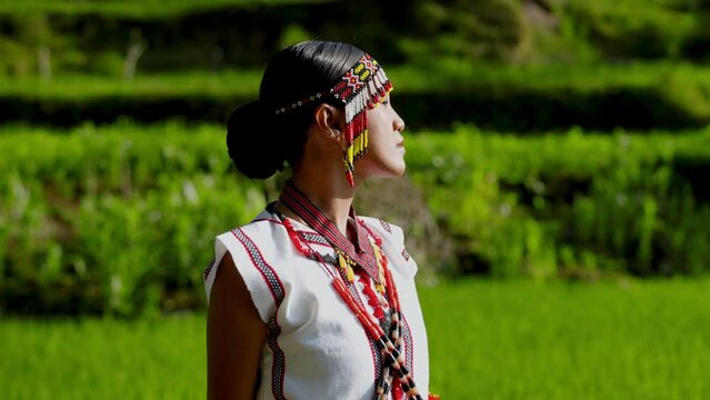Lady In Traditional Attire Ambles Through Field