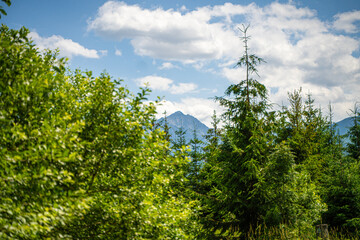 Scenic views from the heart of the Tatra Mountains, featuring the enchanting Polana Rusinowa, the picturesque Gęsia Szyja, and the breathtaking Hala Gąsienicowa. Explore the serene beauty. © Tomasz