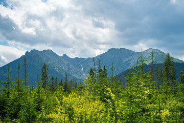 Scenic views from the heart of the Tatra Mountains, featuring the enchanting Polana Rusinowa, the picturesque Gęsia Szyja, and the breathtaking Hala Gąsienicowa. Explore the serene beauty. © Tomasz