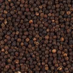 Black pepper zoomed in on