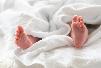 Newborn's tiny feet shielded by a white towel. Concept of nurturing and care