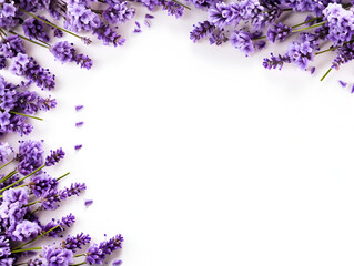 Purple lavender frame background with copy space inside 