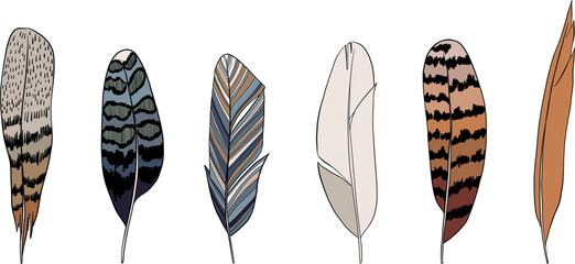 Set of hand drawn bird feathers. Vector set of hand drawn isolated elements.