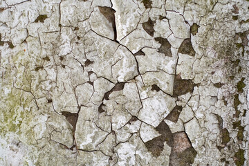 Background with an old wall with heavily peeling paint. The paint is dry and cracked in large chunks.