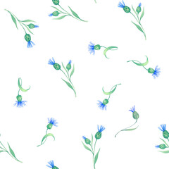 Fototapeta na wymiar Cornflowers. seamless watercolor pattern with blue flowers. Watercolor illustration for fabric, textile, wrapping and wallpaper