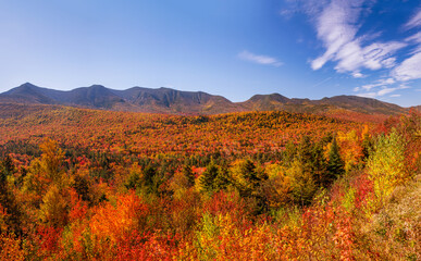 Autumn foliage in fall season. Red autumn landscapes in fall, trees and mountains of New England