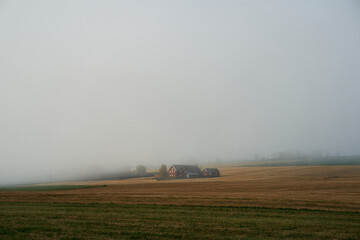 Fototapeta premium misty countryside in fall