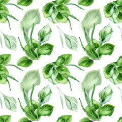 Plantago broadleaf medicinal plant watercolor seamless pattern isolated on white background. Plantain, green leaves, herb, psyllium hand drawn. Design for textile, package, wallpaper, wrapping - obrazy, fototapety, plakaty